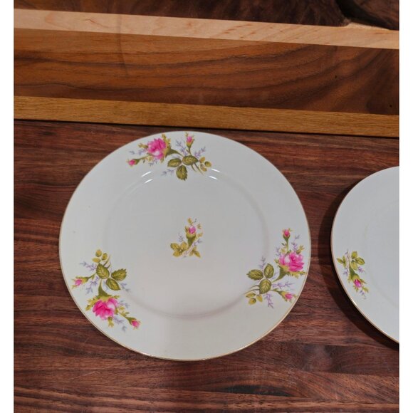 Thames Porcelain China 7" and 6" "Moss Rose" replacement plates - Picture 4 of 5